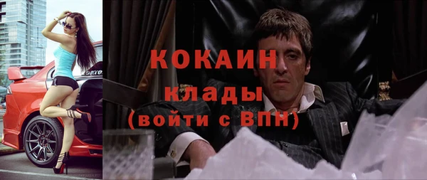 индика Заволжск