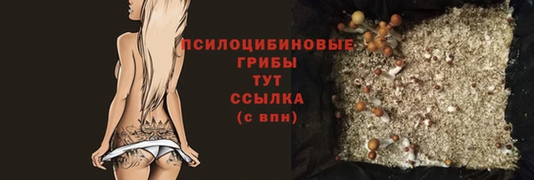 Альфа ПВП Заводоуковск