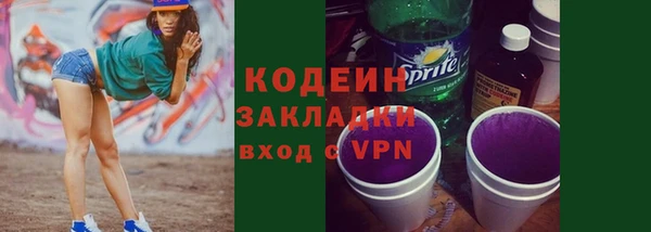 индика Заволжск