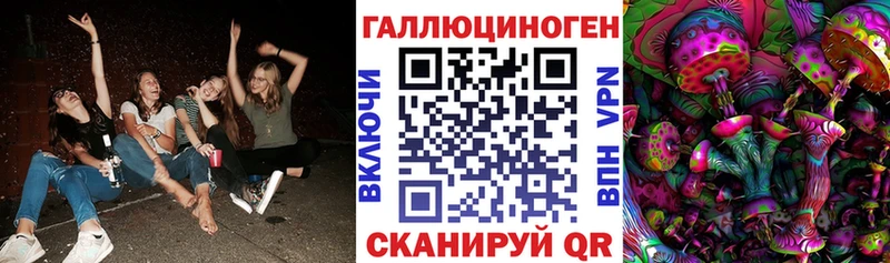 Купить  Назарово  Псилоцибиновые грибы Psilocybe 